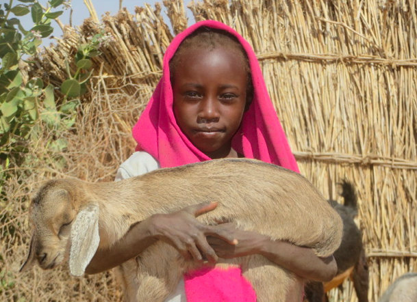 Goats and Donkeys Transform Lives in Darfur