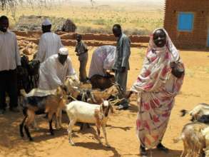 Goats bringing smiles to beneficiary's faces!
