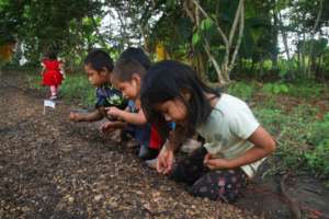 Planting, a fine motor skill