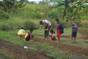 Marking our seeds