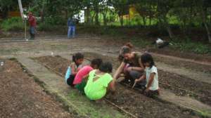 Our School Garden