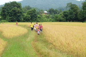 Pa Teung Ngam - site for Ecology Dimension
