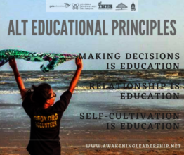 ALT Educational Principles