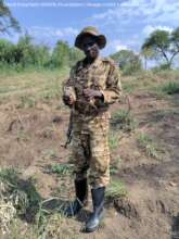 Ranger collecting snares in Uganda