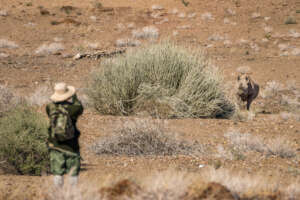 Image Credit: Save The Rhino Trust