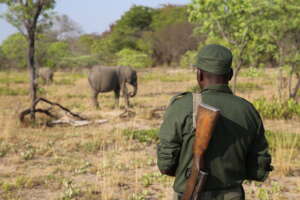 Ranger Patrol - Zambia Game Rangers International
