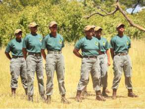 Wildlife Rangers: Painted Dog Conservation