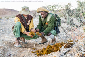 Rangers Tracking Rhinos in Namibia