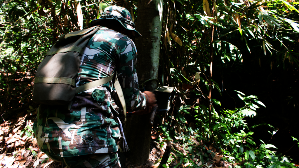 Wildlife Ranger: Isabel Seden-Fowler (DSWF)