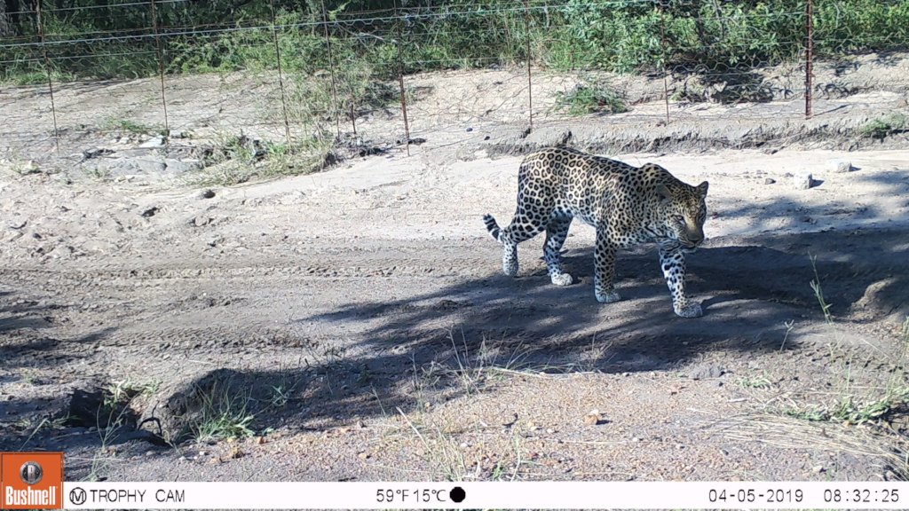 The Forgotten Kingdom-Help Protect Elusive Species