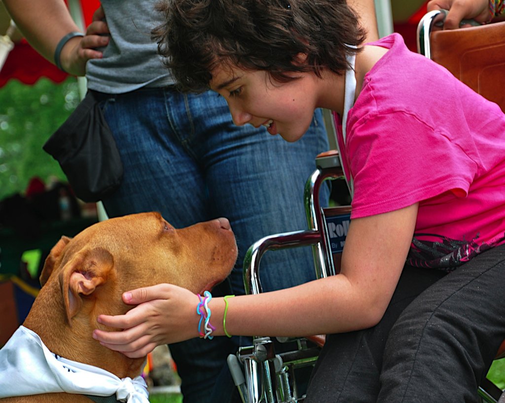 Expand Animal-Assisted Therapy In Chicago