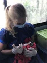 Intern Callie feeding Momo a baby squirrel monkey