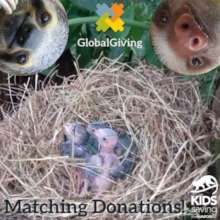 Global Giving Monthly Donor Matching Campaign