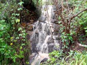 Rain season at the Demonstration Center