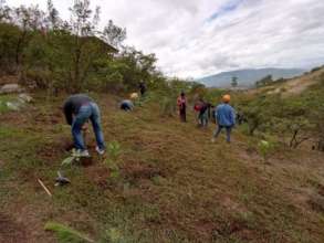 Community reforestation