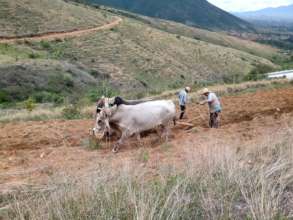 Sowing at El Pedregal