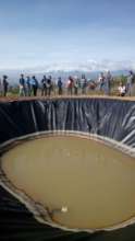 Ultimate rain harvesting bowl