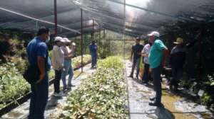 Workshop on plant nursing at La Mesita