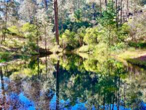 Forests around Oaxaca, our main source of water