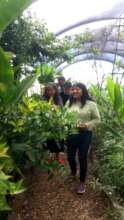 At San Pablo Butterfly Farm