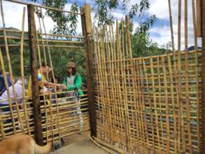 Building the walls for teh toilette