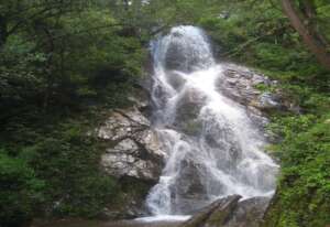 Nature as a constant source of inspiration