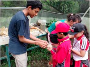 Learning at El Pedregal plant nursery