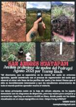 Improving the soils... also regeneration