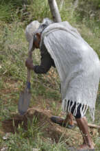 Reforestation. The whole community participates