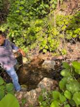 Field sampling of physical-chemical parameters.