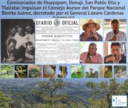Advisory Council oficial installation.