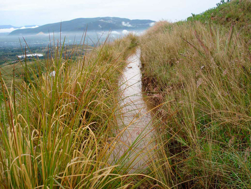 Regenerate the social & natural fabric in Oaxaca