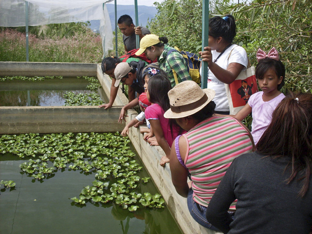 Families visiting