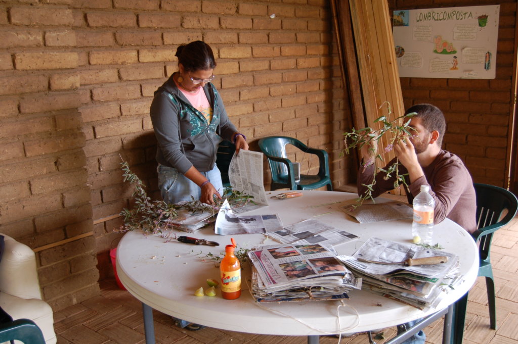 Regenerate the social & natural fabric in Oaxaca