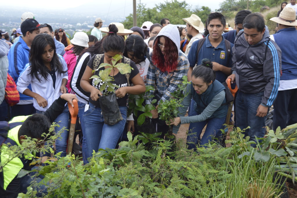 Regenerate the social & natural fabric in Oaxaca
