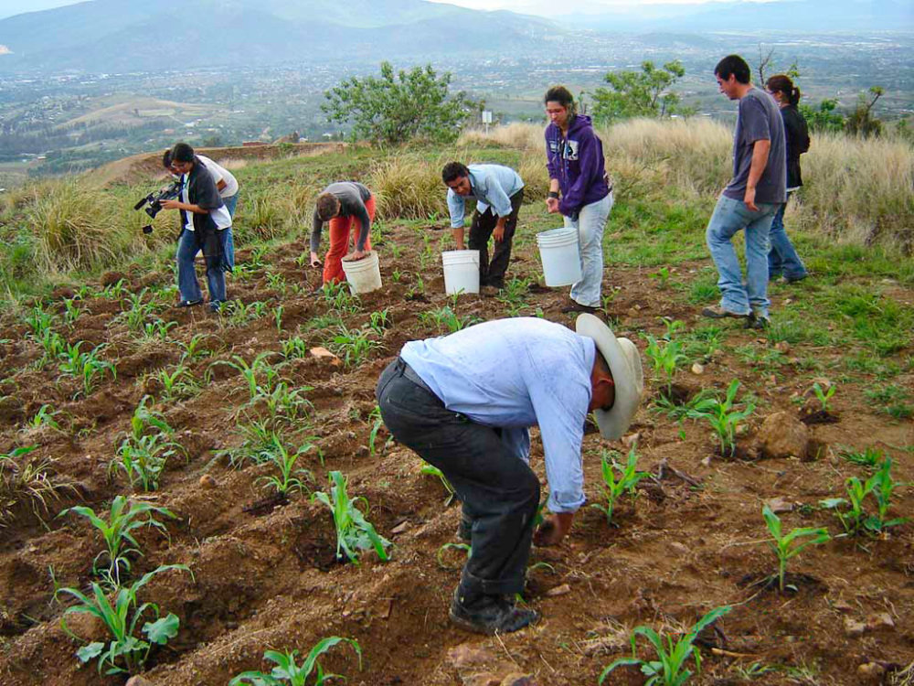 Regenerate the social & natural fabric in Oaxaca