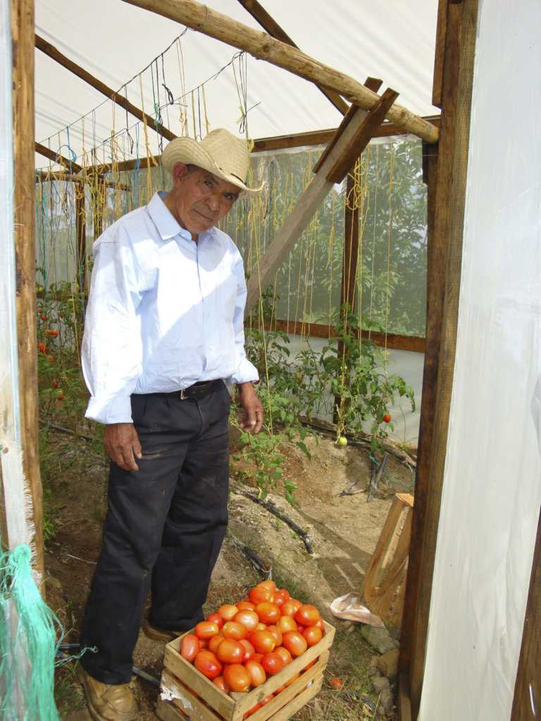 Regenerate the social & natural fabric in Oaxaca