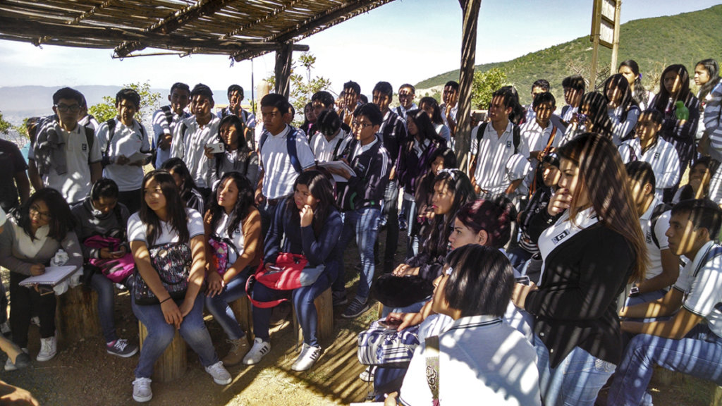 Regenerate the social & natural fabric in Oaxaca