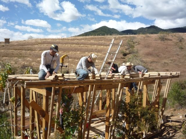 Regenerate the social & natural fabric in Oaxaca