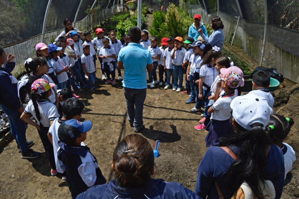 Regenerate the social & natural fabric in Oaxaca