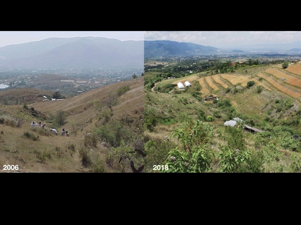 Regenerate the social & natural fabric in Oaxaca