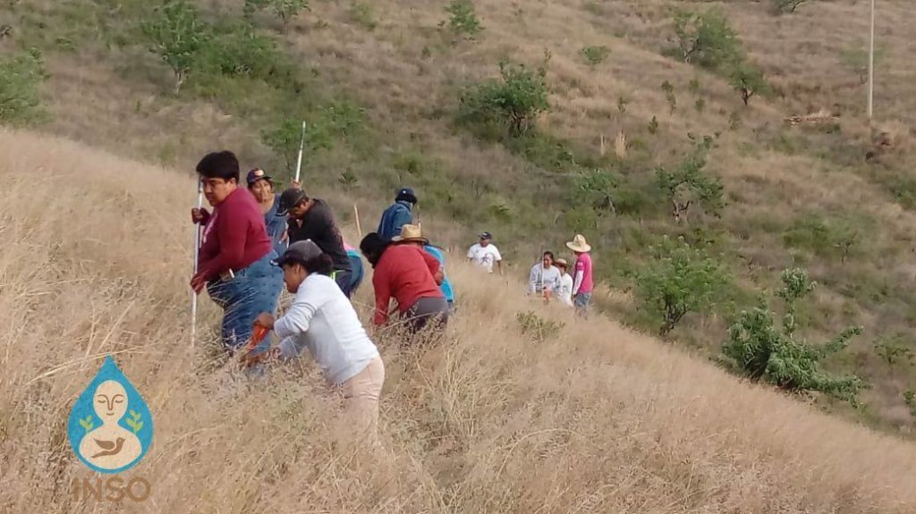Regenerate the social & natural fabric in Oaxaca