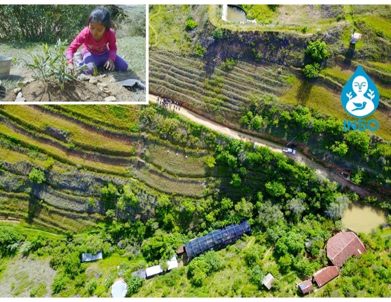 Regenerate the social & natural fabric in Oaxaca