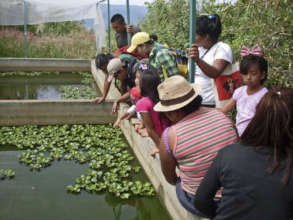 Families visiting
