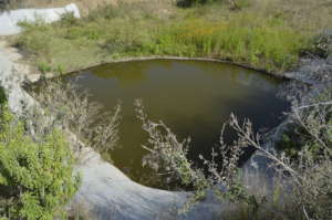 Water collection basin