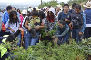 Reforestation day