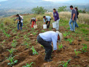 Milpa sowing (the three sisters)