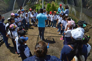 Childrens education program