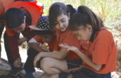 Regenerate the social & natural fabric in Oaxaca