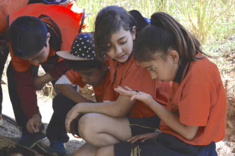 Regenerate the social & natural fabric in Oaxaca